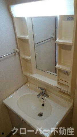 ドリーム　ヴィレッジＢの洗面所