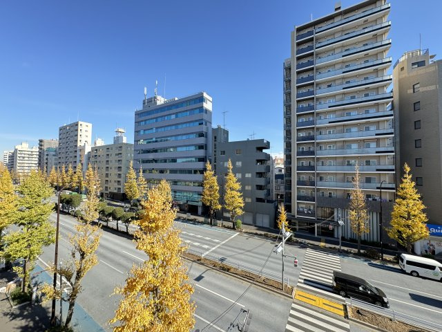 白山エクセルハイムの展望