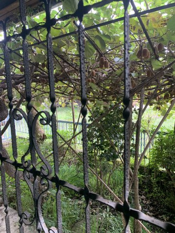 紀の川市打田中古戸建の周辺