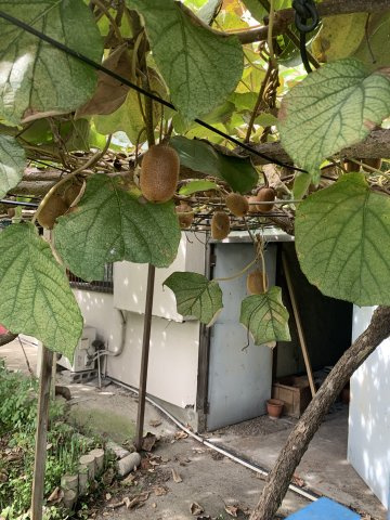 紀の川市打田中古戸建のその他