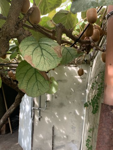 紀の川市打田中古戸建のその他