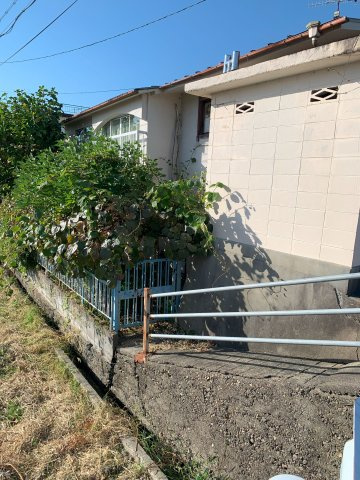 紀の川市打田中古戸建の庭