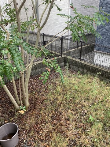 岩出市水栖　中古物件の庭