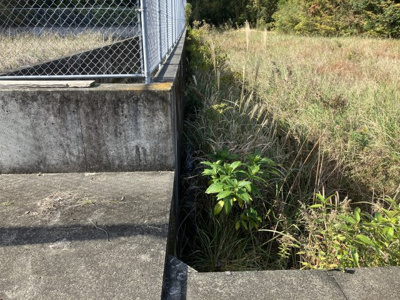 【外観】 | 平佐町坊ヶ迫土地