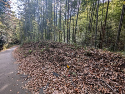 【外観】 | 売土地　駿東郡長泉町上長窪 | 住宅の建築は不可となっております。緑豊かな場所にあります。