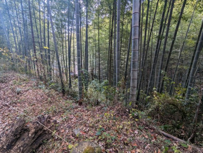 【外観】 | 売土地　駿東郡長泉町上長窪 | 近隣にはレジャー施設が多数あります。長泉町パークゴルフ場・沼津国際カントリークラブ・桃沢キャンプ場・愛鷹広域公園など♪