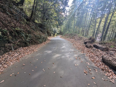 【前面道路含む現地写真】 | 売土地　駿東郡長泉町上長窪 | 新東名高速道路・長泉沼津ICまで車で3分、国道246号線まで車で4分、伊豆縦貫道沼津・岡宮ICまで車で6分、東名高速道路・沼津ICまで車で7分です。多方面へのアクセス良好です。