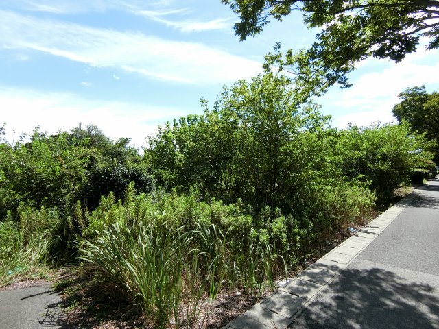 境港市渡町売り土地の外観