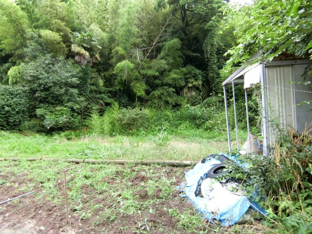 荒島町売り土地の外観