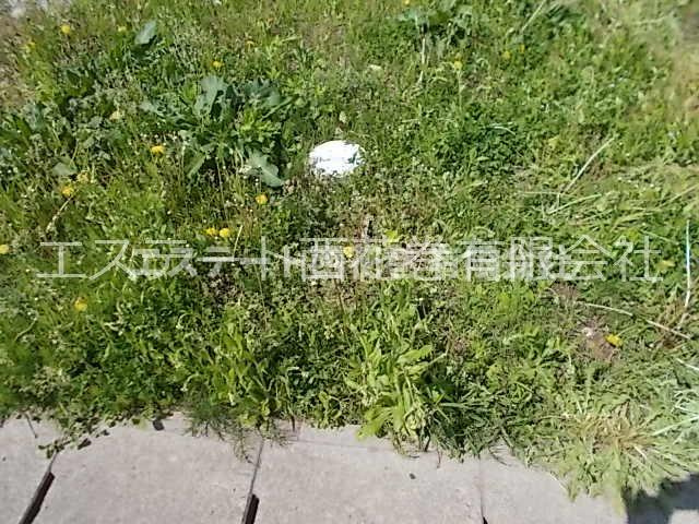 諏訪　土地のその他|汚水桝