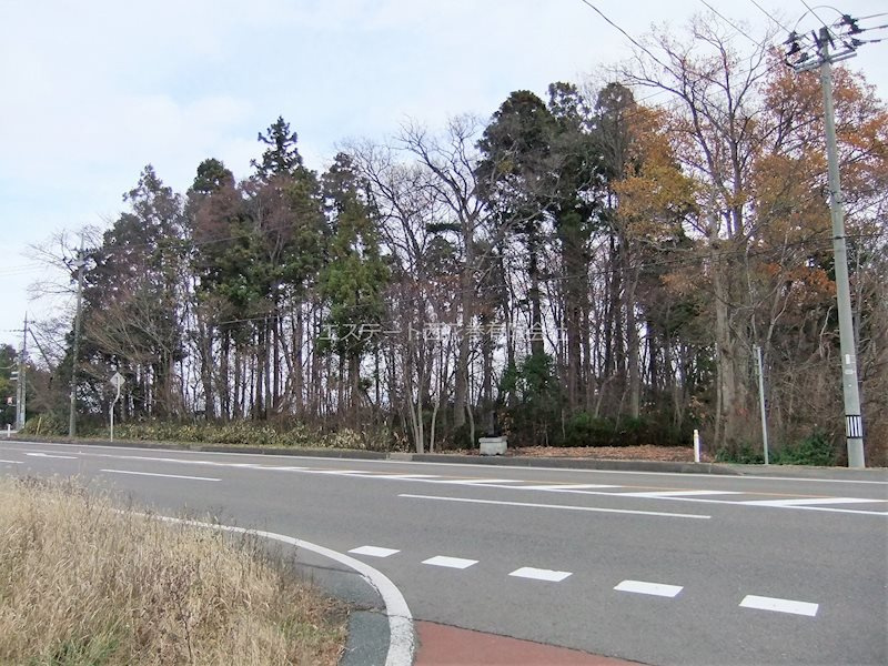 花巻市狼沢第２地割　土地の外観