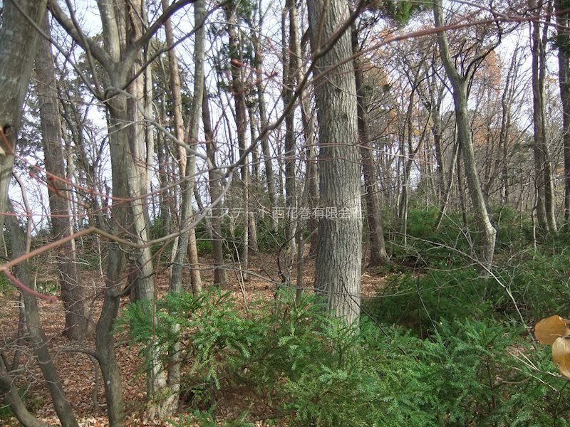 花巻市狼沢第２地割　土地の外観