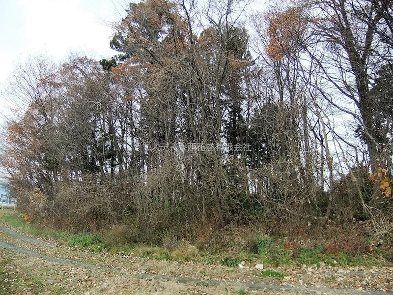 花巻市狼沢第２地割　土地の外観