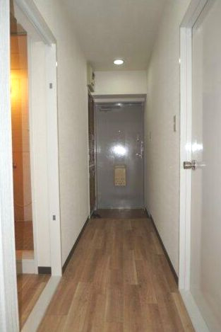 プレミアムフラット浦和仲町の玄関