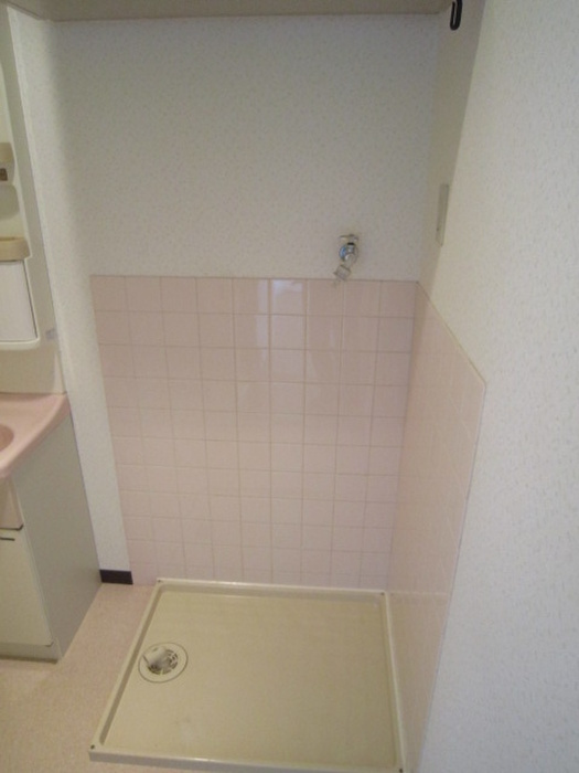 リベラ西芦屋の洗面所