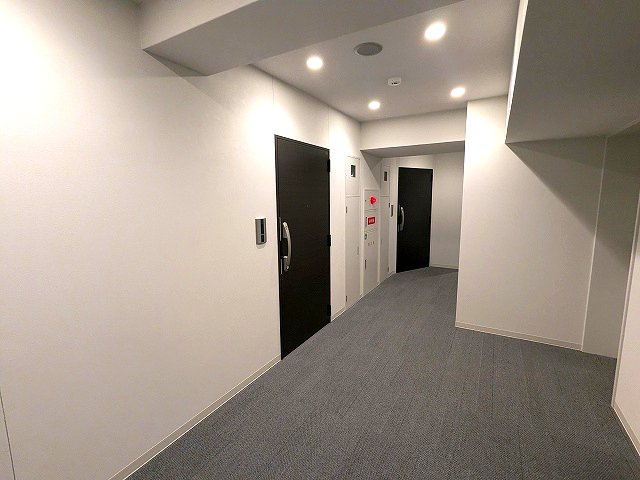 CREATIF UENO IRIYAの設備|ホテルライクな内廊下設計です、外から見えず、雨に濡れず、滑りにくく、音も吸収するカーペット敷です