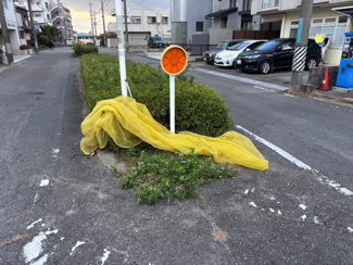 【展望】