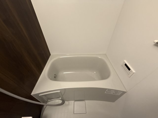 リアン２５の浴室