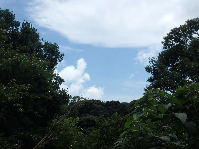 S1463H　吉佐美苑中古住宅の展望