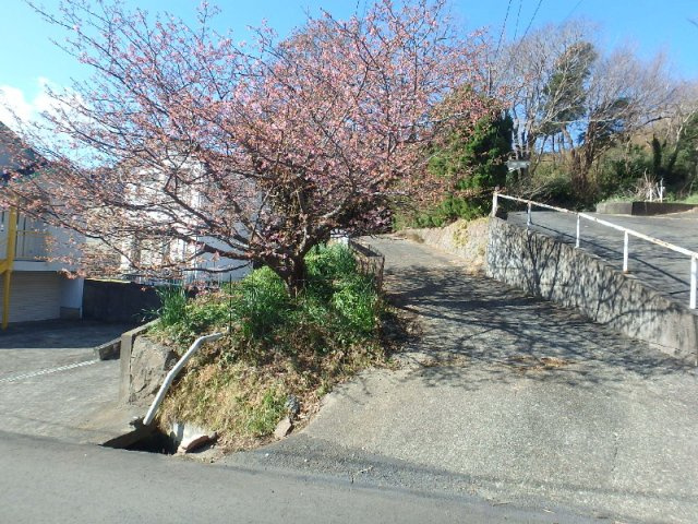 S1563H　吉佐美中古住宅の庭