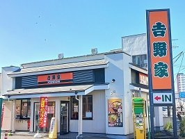 ロイヤルサトックスの周辺|吉野家まで228m