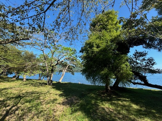 奥琵琶湖！！湖岸別荘ホテル用地の周辺|本件の湖岸土地から琵琶湖方向への写真