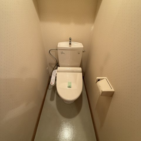 ドリームハイツⅢのトイレ