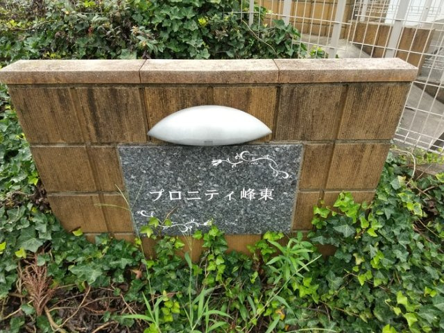 プロニティ峰東のその他