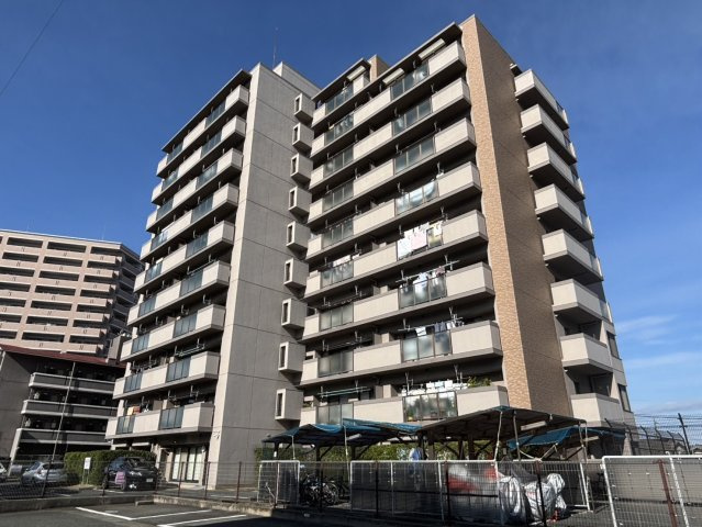 ブロッサム門田の画像