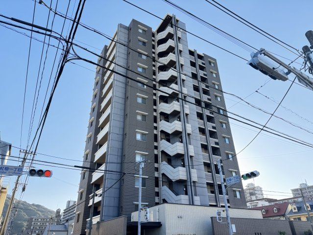 ｱｰﾃｨｯｸｽ紅梅ｳﾞｨｰﾀｽﾊﾟｼﾞｵの画像