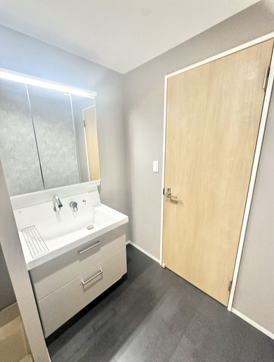 グリーンマンション野間大池の独立洗面台|グリーンマンション野間大池（2SLDK）