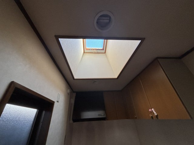 【その他】 | ヒガシシリイケチョウメカシヤ