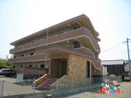 コンフォール柿の木の画像