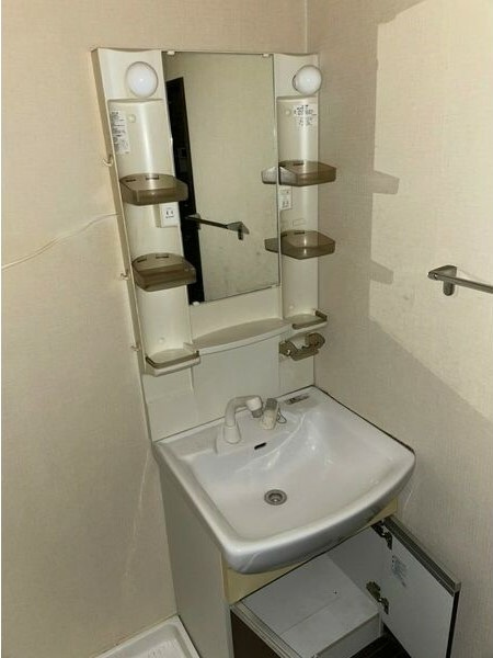 アイリス中平の洗面所