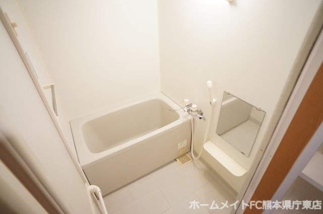 上益城郡嘉島町大字上仲間の賃貸マンションの浴室
