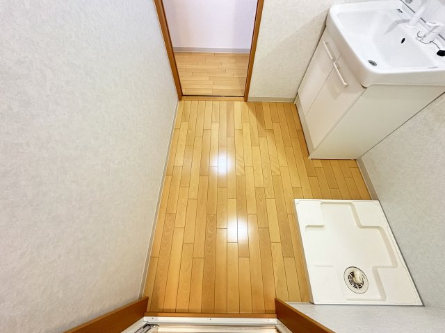 ルガーノⅡの洗面所