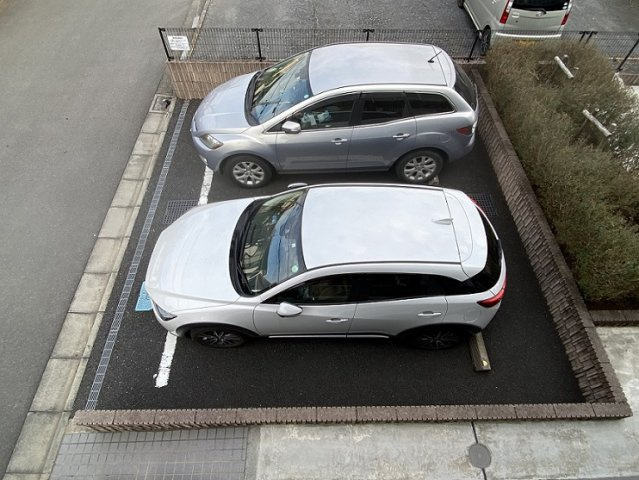 レオネクスト希望のその他