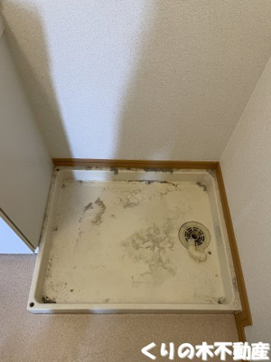 【設備】 | ラ　シャンテ | 室内洗濯機置き場です