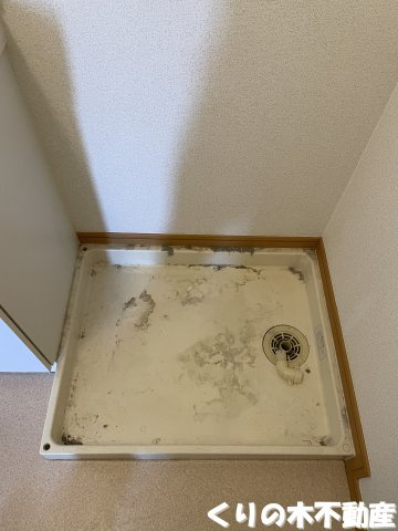 【設備】 | ラ　シャンテ | 室内洗濯機置き場です