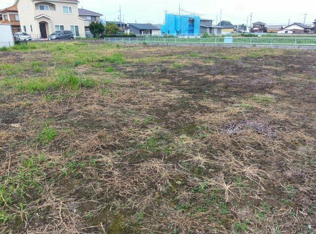 小山市横倉　土地