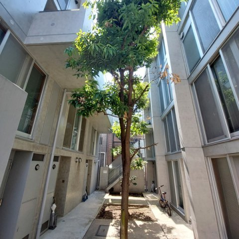 【その他】 | passaggio