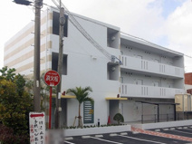 ブルースカイの画像