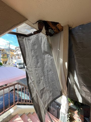 【その他】の画像