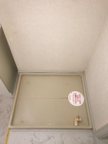 ピアチェーレの洗面所|洗濯機置き場