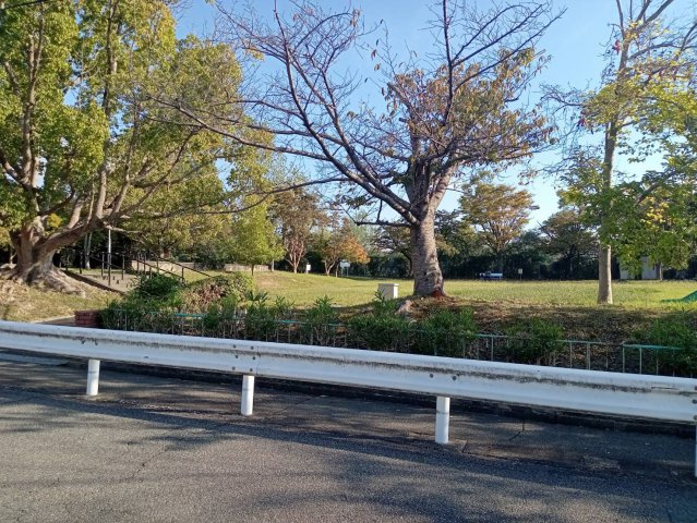 富田林市寺池台1丁目　土地の周辺|前面道路（奥は寺池公園）