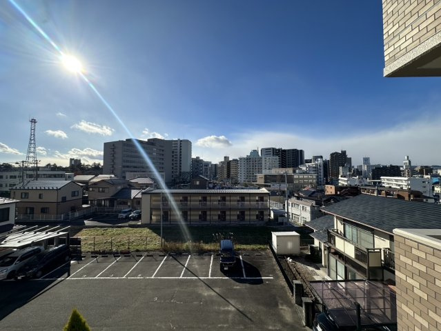 ダイアパレスセレッソ榴ヶ岡公園の展望
