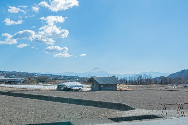 【展望】の画像