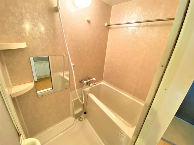 ソレイユ山代の浴室