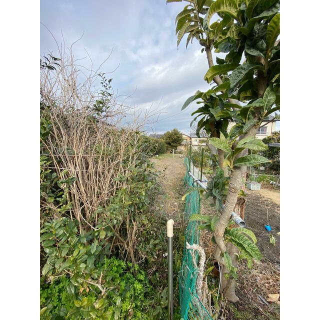 売土地　静岡市駿河区広野５丁目の外観