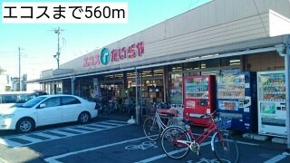 シティハイツ今成の周辺|エコスまで560m